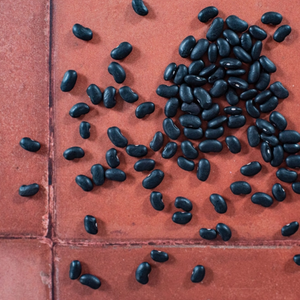 Chaparro (Black) beans