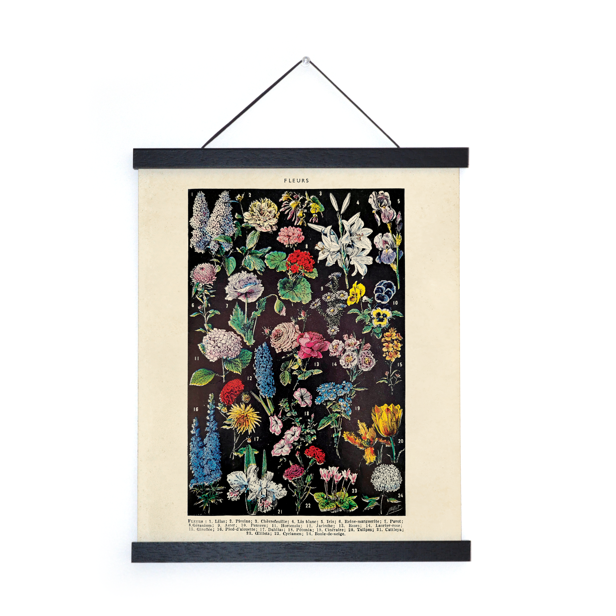 Vintage Botanical Fleurs 2 Garden Flower Print with Black Frame